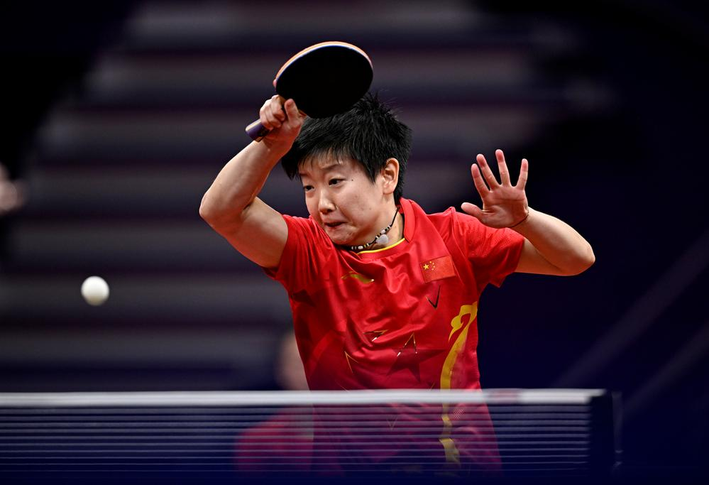 的合法权益 的合法权益